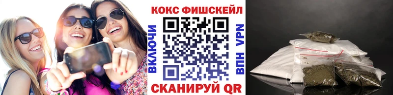 Купить где  Гаврилов-Ям  COCAIN 99% 