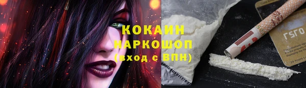 ECSTASY Богданович