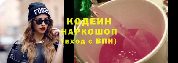 дживик Бронницы