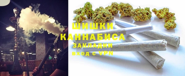 дживик Бронницы