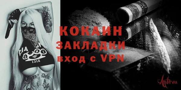 дживик Бронницы