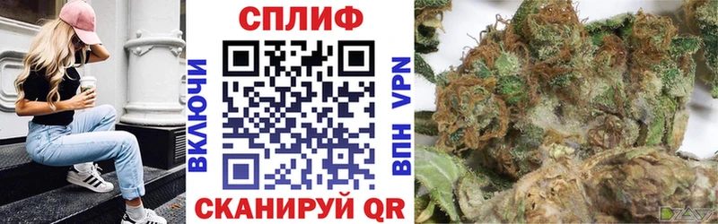 Бошки марихуана план  Купить  Гаврилов-Ям 